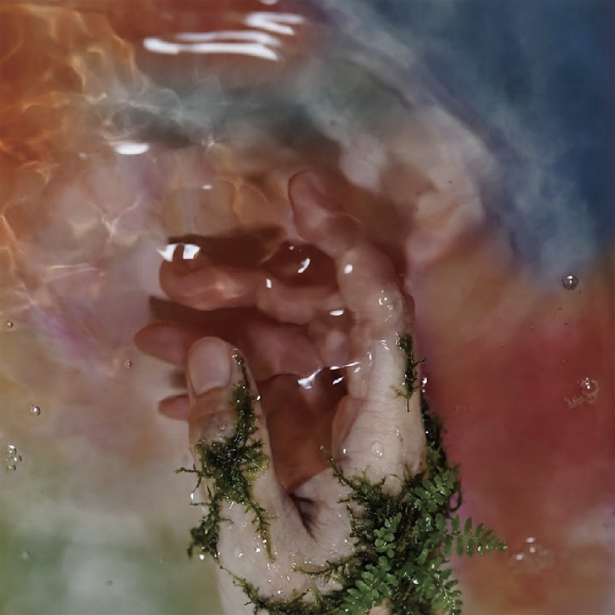 次のイベントの画像