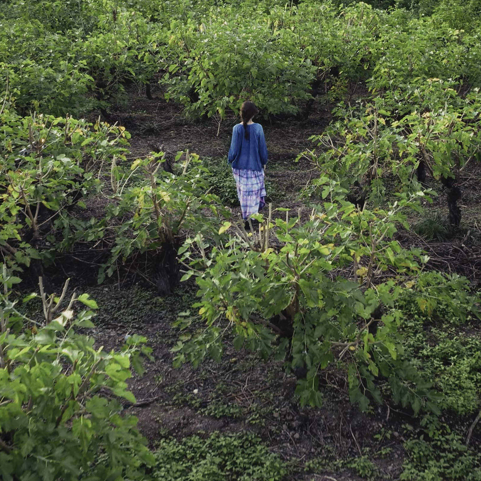 次のイベントの画像